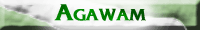 AGAWAM